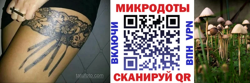 цены наркотик Ленск Галлюциногенные грибы Cubensis